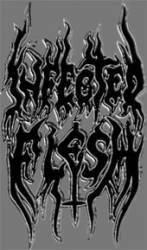 logo Infected Flesh